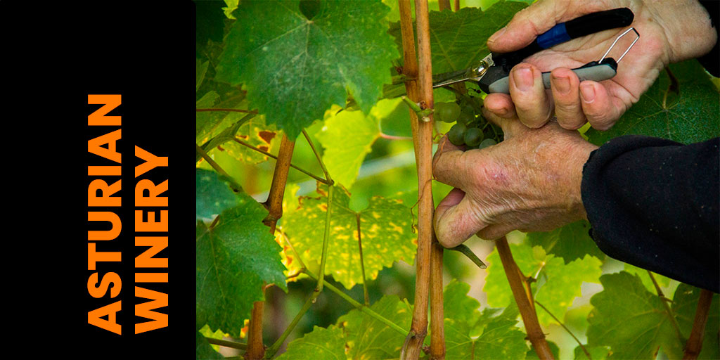ASTURIAN WINERY